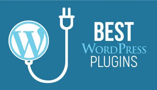 Plugins-For-WordPress-Websites